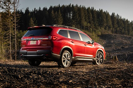 סובארו איוולטיס החדשה