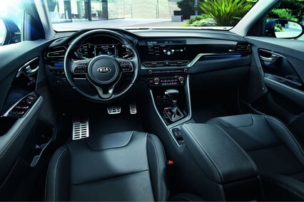 קיה נירו תמונת פנים