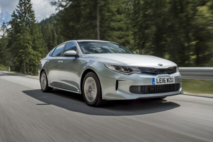 קאיה אופטימה