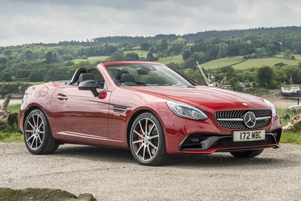 תמונת פרונט