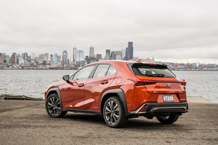 תמונה מאחור