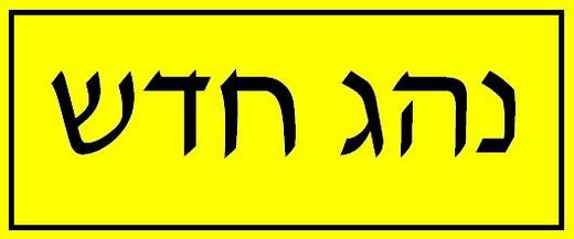 נהג חדש