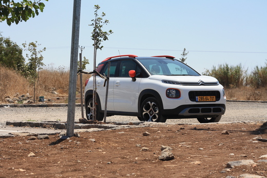 טיול מעיינות בדרום רמת הגולן טיול מעיינות בדרום רמת הגולן