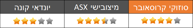 התנהגות כביש